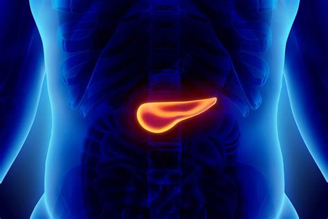 Can a damaged pancreas repair itself?