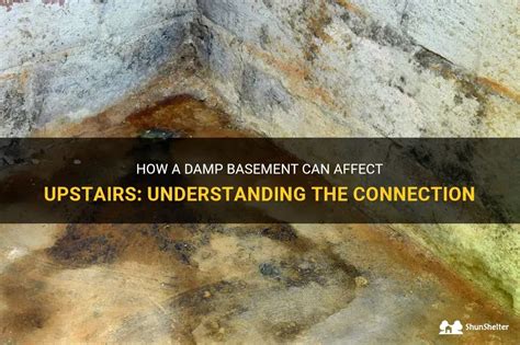 Can a damp basement affect upstairs?