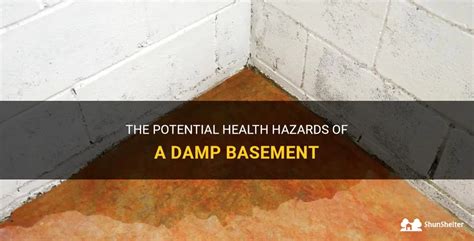 Can a damp basement cause health problems?