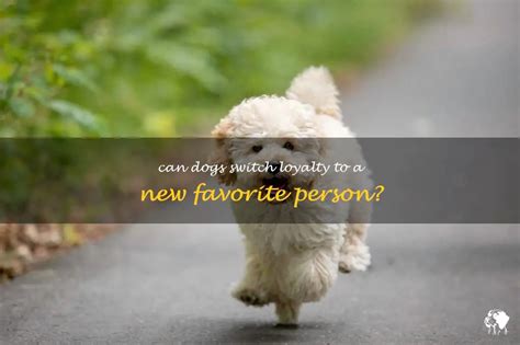 Can a dog change their favorite person?