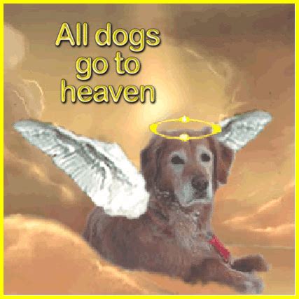Can a dog go to heaven?