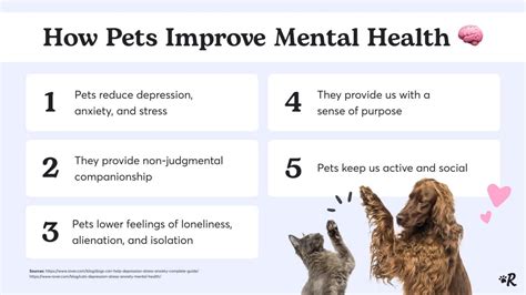 Can a dog sense mental illness?