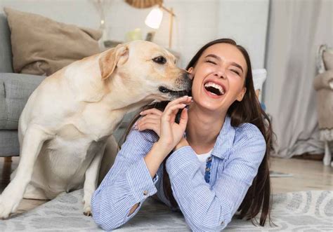 Can a dog smell a female human?