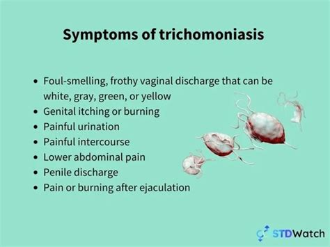 Can a faithful couple get trichomoniasis?