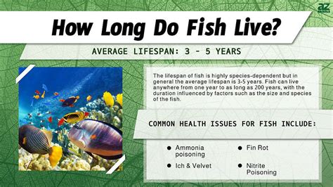 Can a fish live for 20 years?