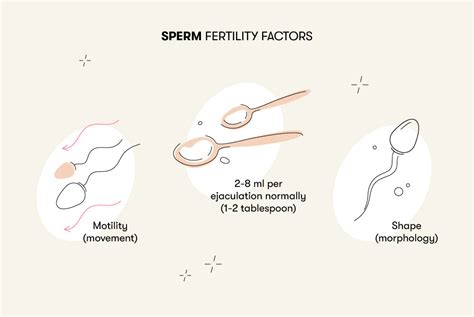 Can a girl get pregnant if sperm is on the outside?