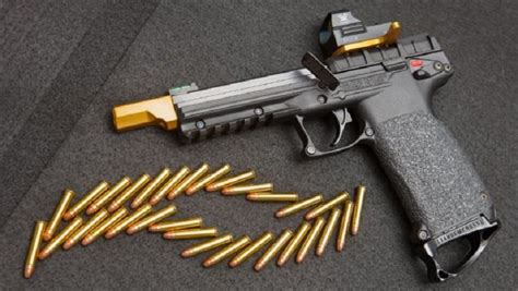 Can a gun hold 30 rounds?