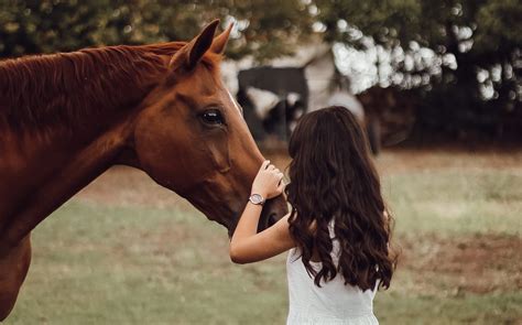 Can a horse bond with one person?