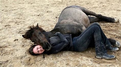 Can a horse love a human?