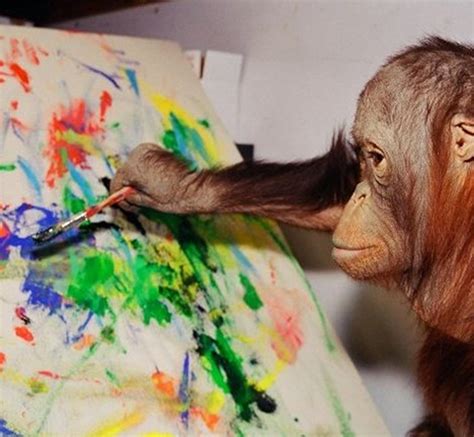 Can a monkey make art?