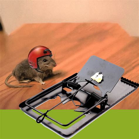 Can a mouse carry away a mouse trap?