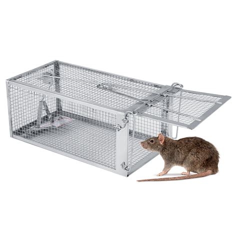 Can a mouse escape a live trap?