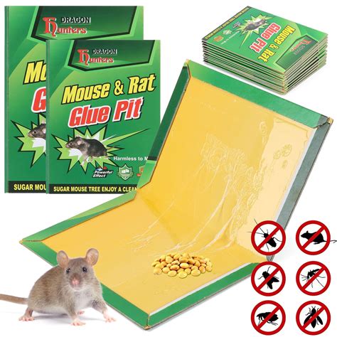Can a mouse run away with a glue trap?