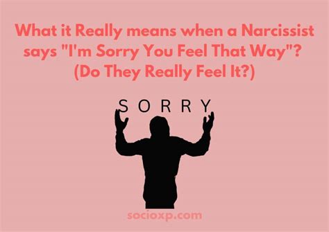 Can a narcissist say sorry?