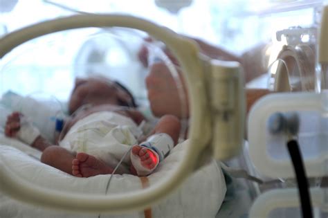 Can a newborn baby be an organ donor?