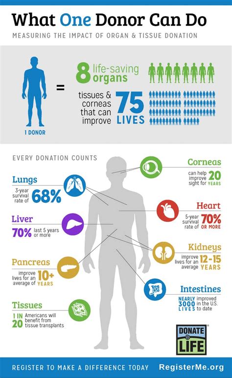 Can a non US citizen be an organ donor?