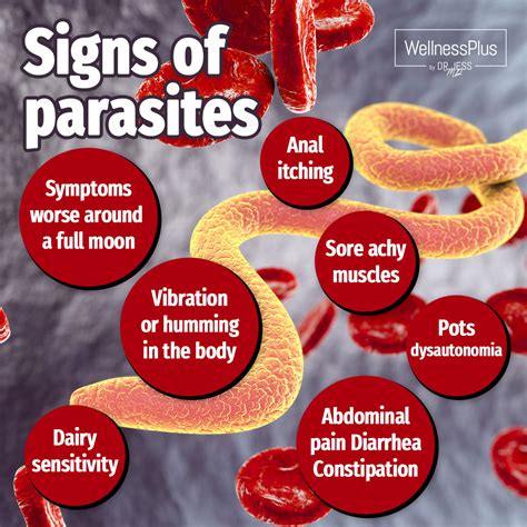 Can a parasite cause neurological symptoms?