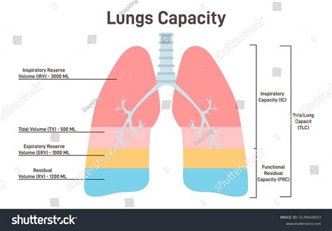 Can a person live with 50 percent lung capacity?