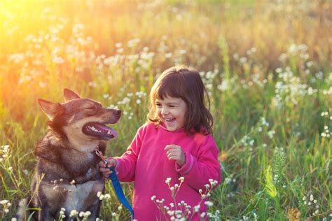 Can a pet be a friend?