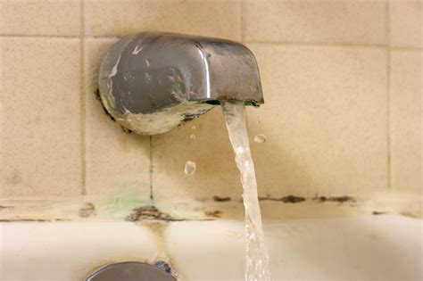 Can a plumber tell if you have mold?