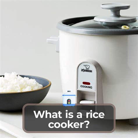 Can a rice cooker cook more than rice?
