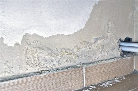 Can a small water leak cause mold?