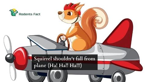 Can a squirrel survive falling from a plane?