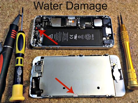 Can a water damaged iPhone be restored?
