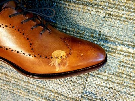 Can alcohol ruin leather?