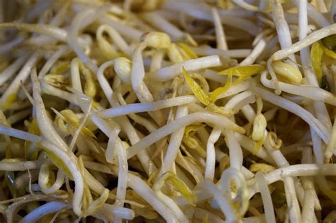 Can all bean sprouts be eaten raw?