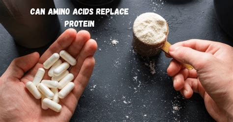 Can amino acids replace protein?