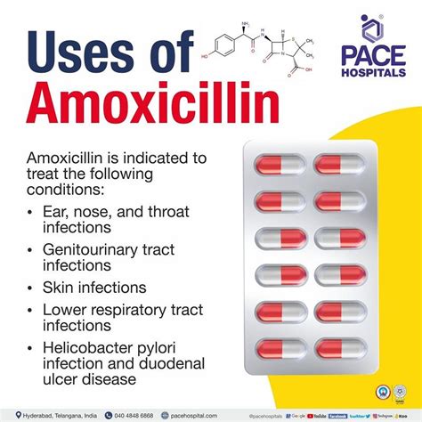 Can amoxicillin remove abscess?