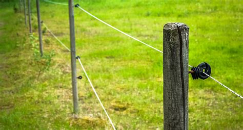 Can an electric fence hurt a human?