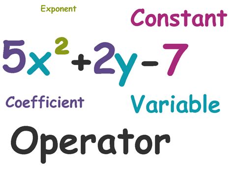 Can an exponent be 0 in a polynomial?