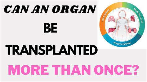 Can an organ be transplanted twice?