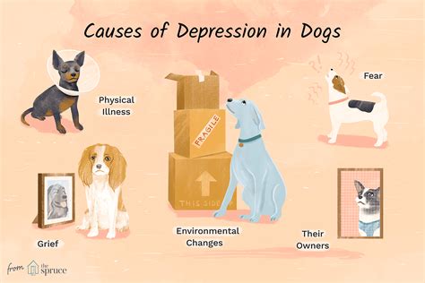 Can animals feel your depression?