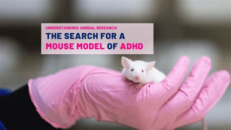 Can animals have ADHD?