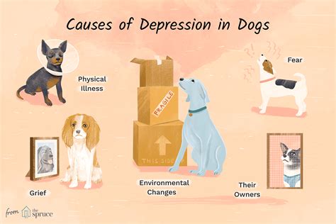 Can animals sense your depression?