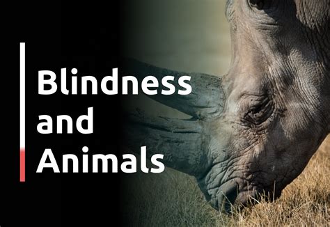 Can animals survive blind?