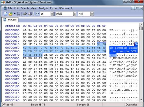 Can any file be a binary file?