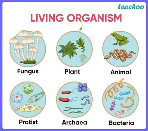 Can any living organism survive boiling water?