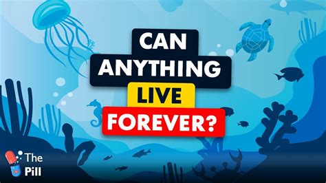 Can anything live forever?