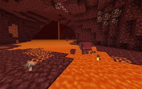 Can anything survive lava in Minecraft?