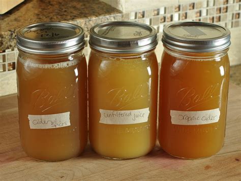 Can apple juice get fermented?