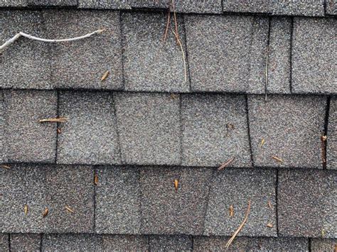 Can asphalt shingles last 50 years?