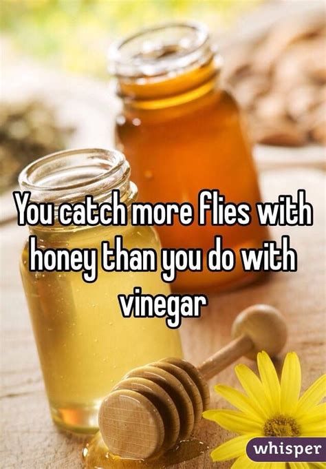 Can attract more bees with honey not vinegar?