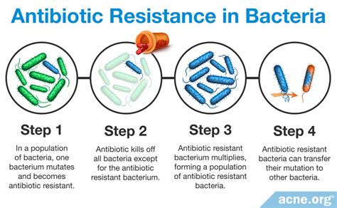 Can bacteria become completely immune to antibiotics?