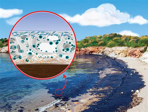 Can bacteria eat oil to clean up oil spills?