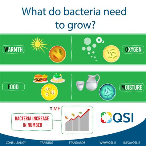 Can bacteria grow in 10% alcohol?