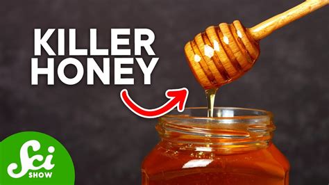 Can bacteria grow in honey?